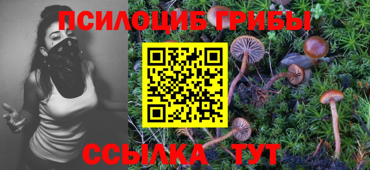 Псилоцибиновые грибы мицелий Амурск